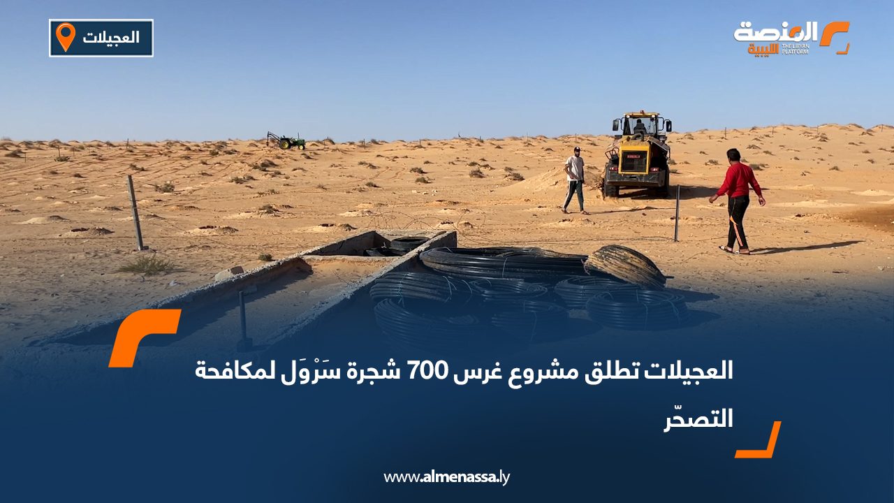 العجيلات تطلق مشروع غرس 700 شجرة سَرْوَل لمكافحة التصحّر