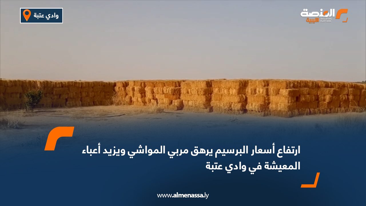 ارتفاع أسعار البرسيم يرهق مربي المواشي ويزيد أعباء المعيشة في وادي عتبة