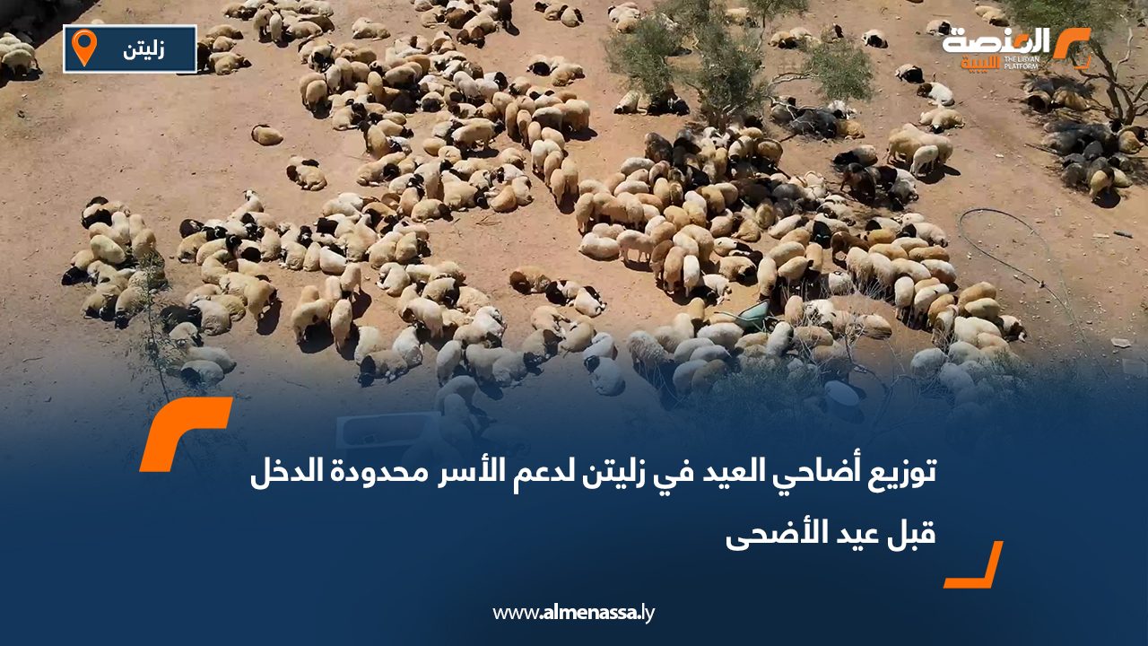 توزيع أضاحي العيد في زليتن لدعم الأسر محدودة الدخل قبل عيد الأضحى