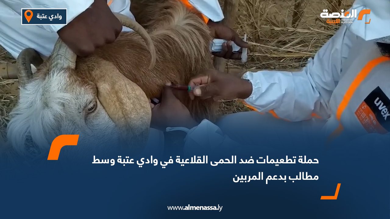 حملة تطعيمات ضد الحمى القلاعية في وادي عتبة وسط مطالب بدعم المربين