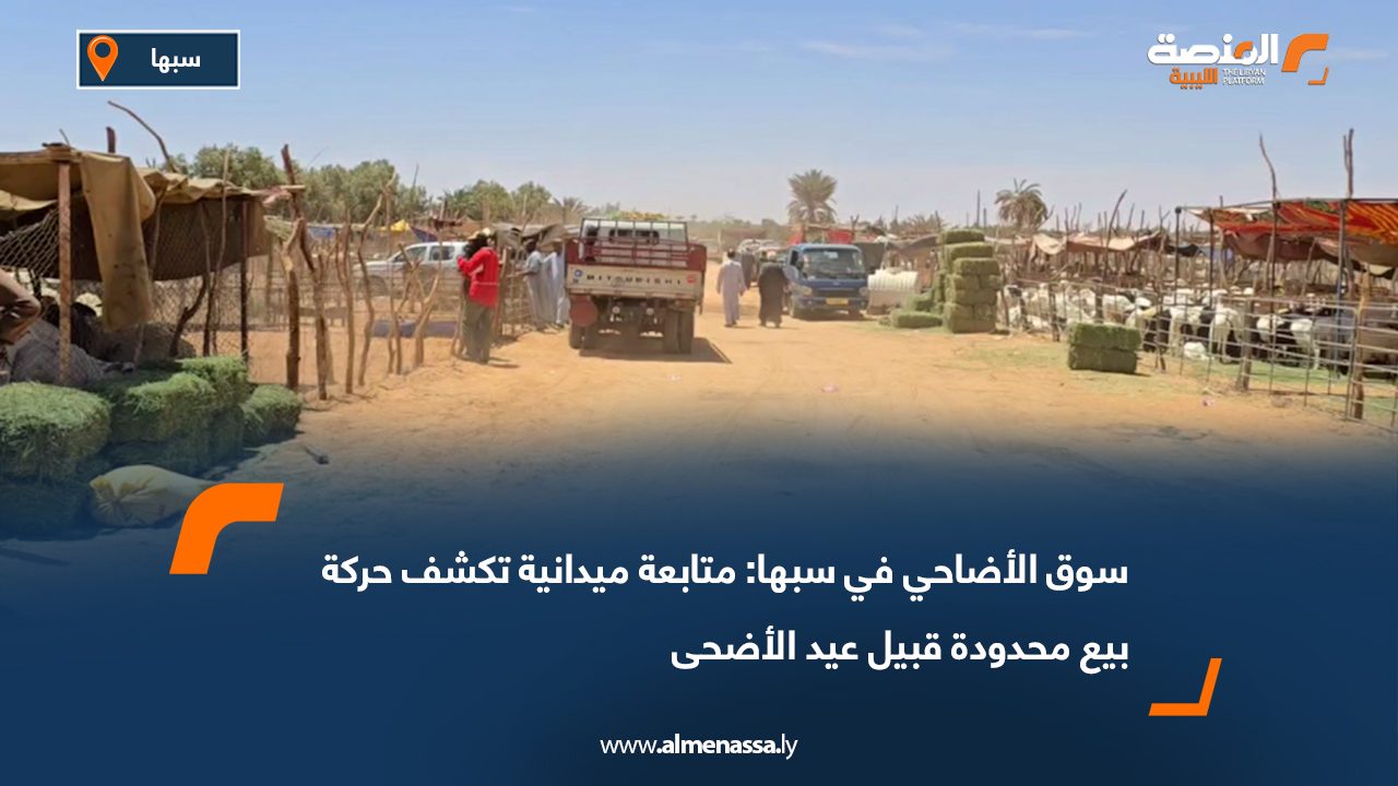 سوق الأضاحي في سبها: متابعة ميدانية تكشف حركة بيع محدودة قبيل عيد الأضحى