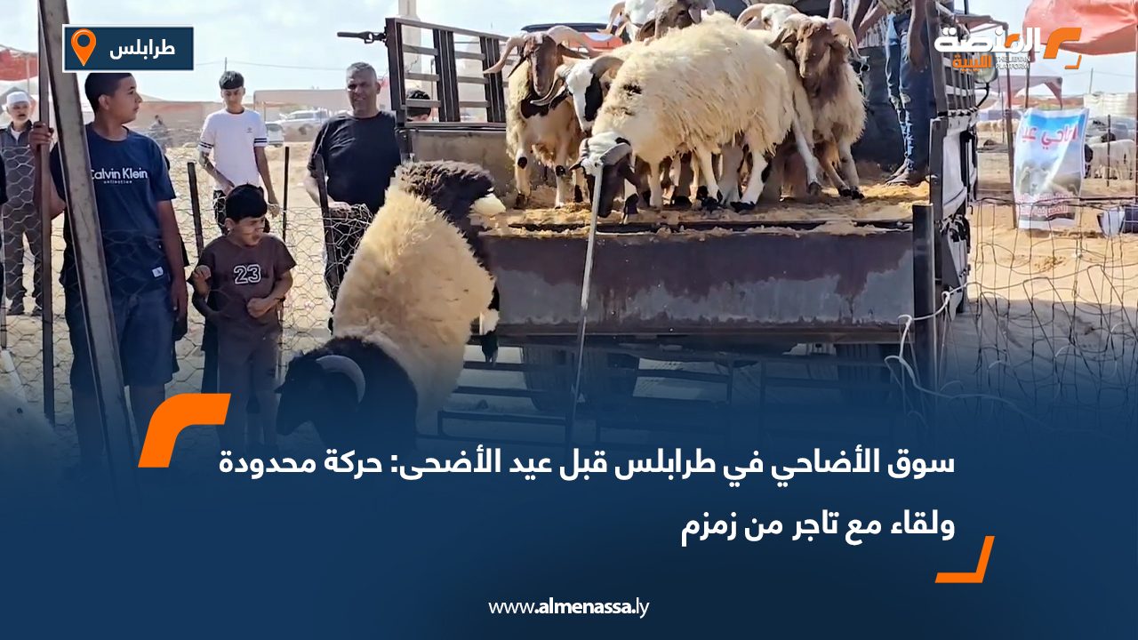 سوق الأضاحي في طرابلس قبل عيد الأضحى: حركة محدودة ولقاء مع تاجر من زمزم