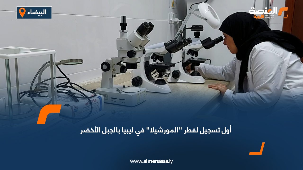 أول تسجيل لفطر المورشيلا في ليبيا بالجبل الأخضر