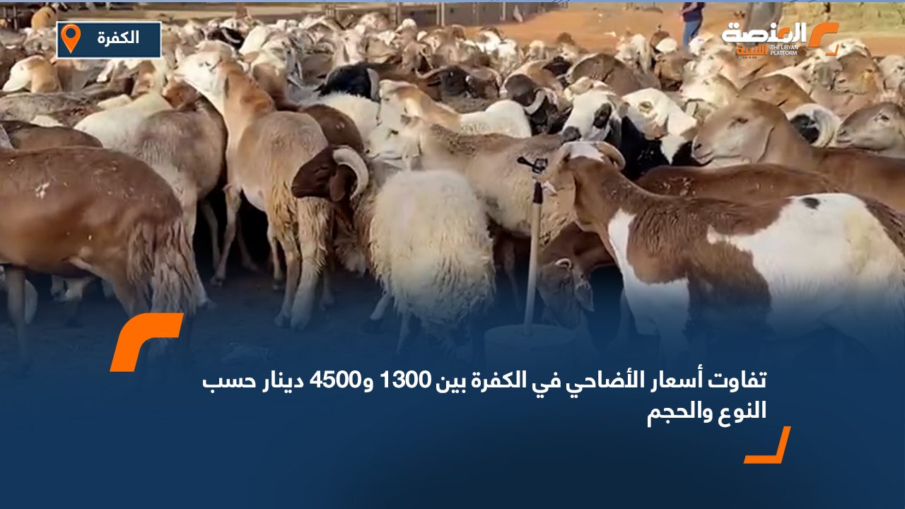 تفاوت أسعار الأضاحي في الكفرة بين 1300 و4500 دينار حسب النوع والحجم