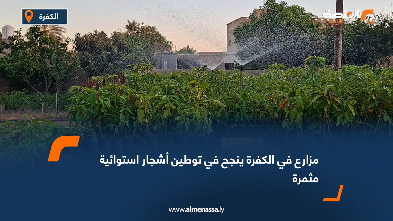 مزارع في الكفرة ينجح في توطين أشجار استوائية مثمرة