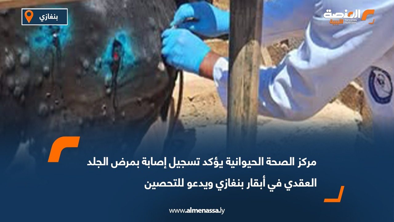 مركز الصحة الحيوانية يؤكد تسجيل إصابة بمرض الجلد العقدي في أبقار بنغازي ويدعو للتحصين