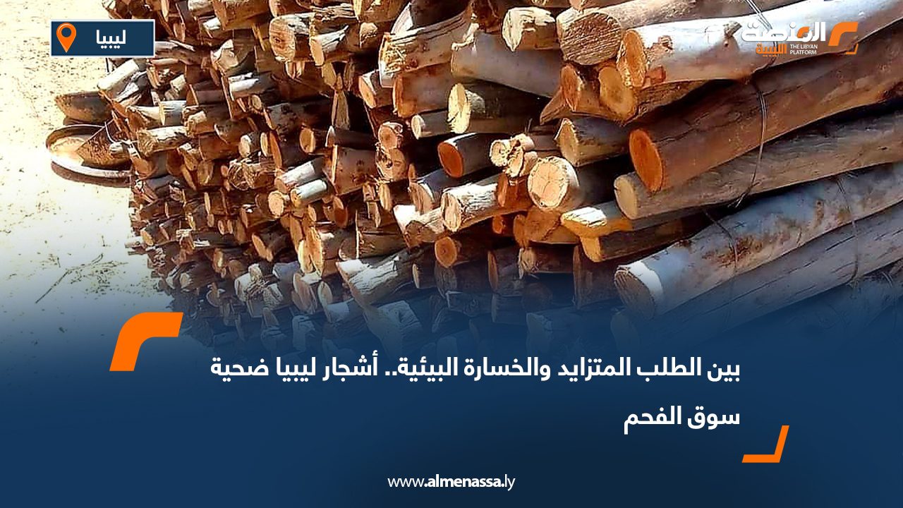 بين الطلب المتزايد والخسارة البيئية.. أشجار ليبيا ضحية سوق الفحم