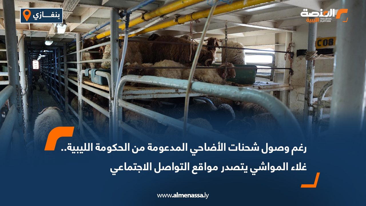 رغم وصول شحنات الأضاحي المدعومة من الحكومة الليبية.. غلاء المواشي يتصدر مواقع التواصل الاجتماعي