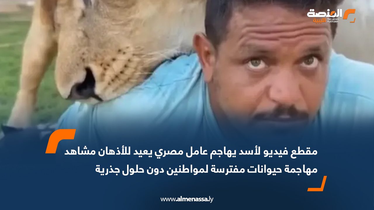 مقطع فيديو لأسد يهاجم عامل مصري يعيد للأذهان مشاهد مهاجمة حيوانات مفترسة لمواطنين دون حلول جذرية