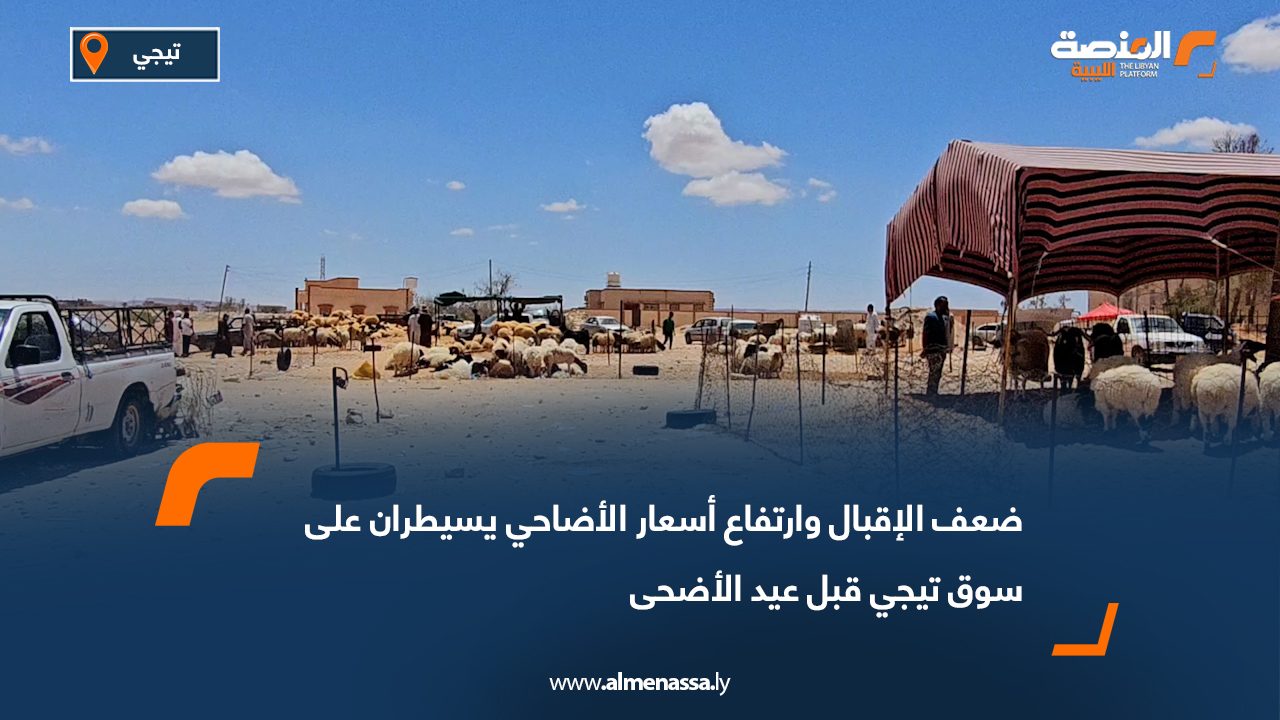 ضعف الإقبال وارتفاع أسعار الأضاحي يسيطران على سوق تيجي قبل عيد الأضحى