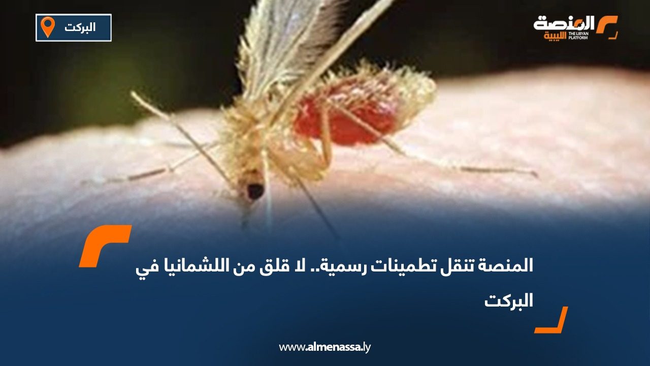 المنصة تنقل تطمينات رسمية.. لا قلق من اللشمانيا في البركت