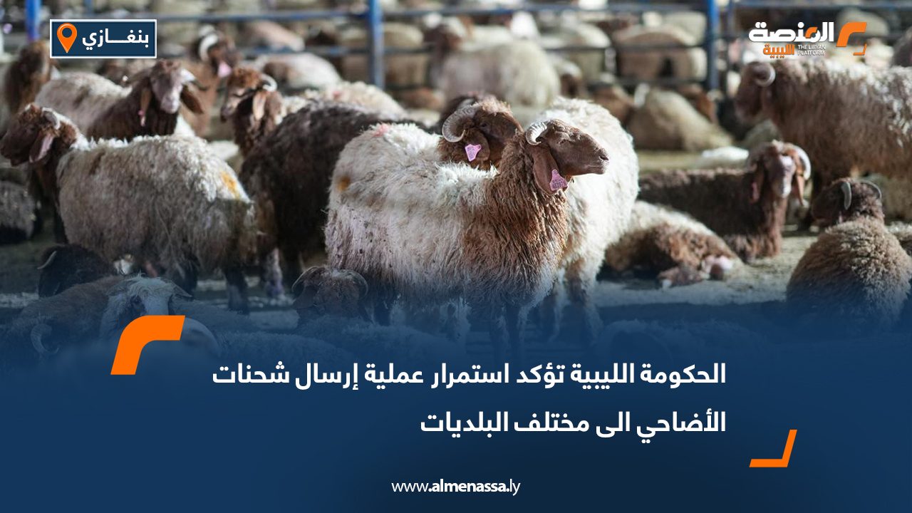 الحكومة الليبية تؤكد استمرار عملية إرسال شحنات الأضاحي الى مختلف البلديات