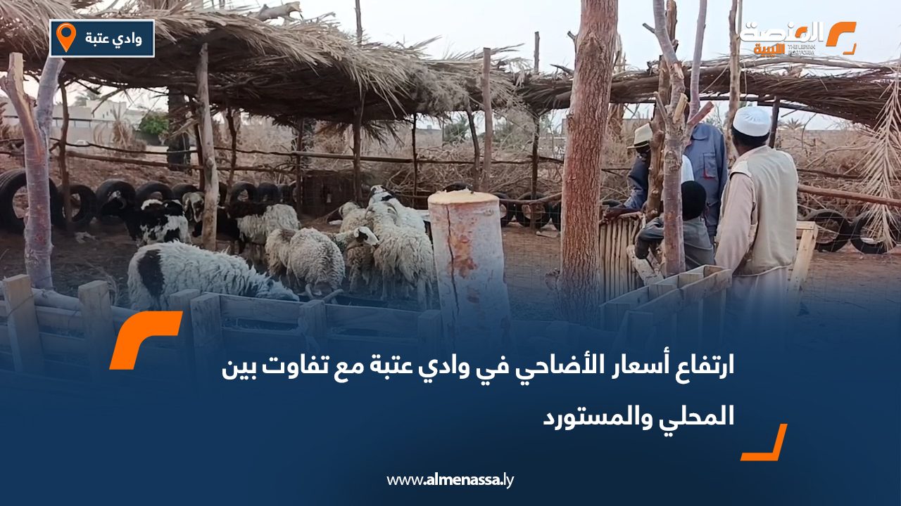 ارتفاع أسعار الأضاحي في وادي عتبة مع تفاوت بين المحلي والمستورد