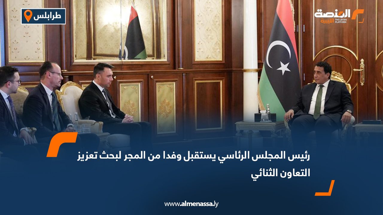 رئيس المجلس الرئاسي يستقبل وفدا من المجر لبحث تعزيز التعاون الثنائي