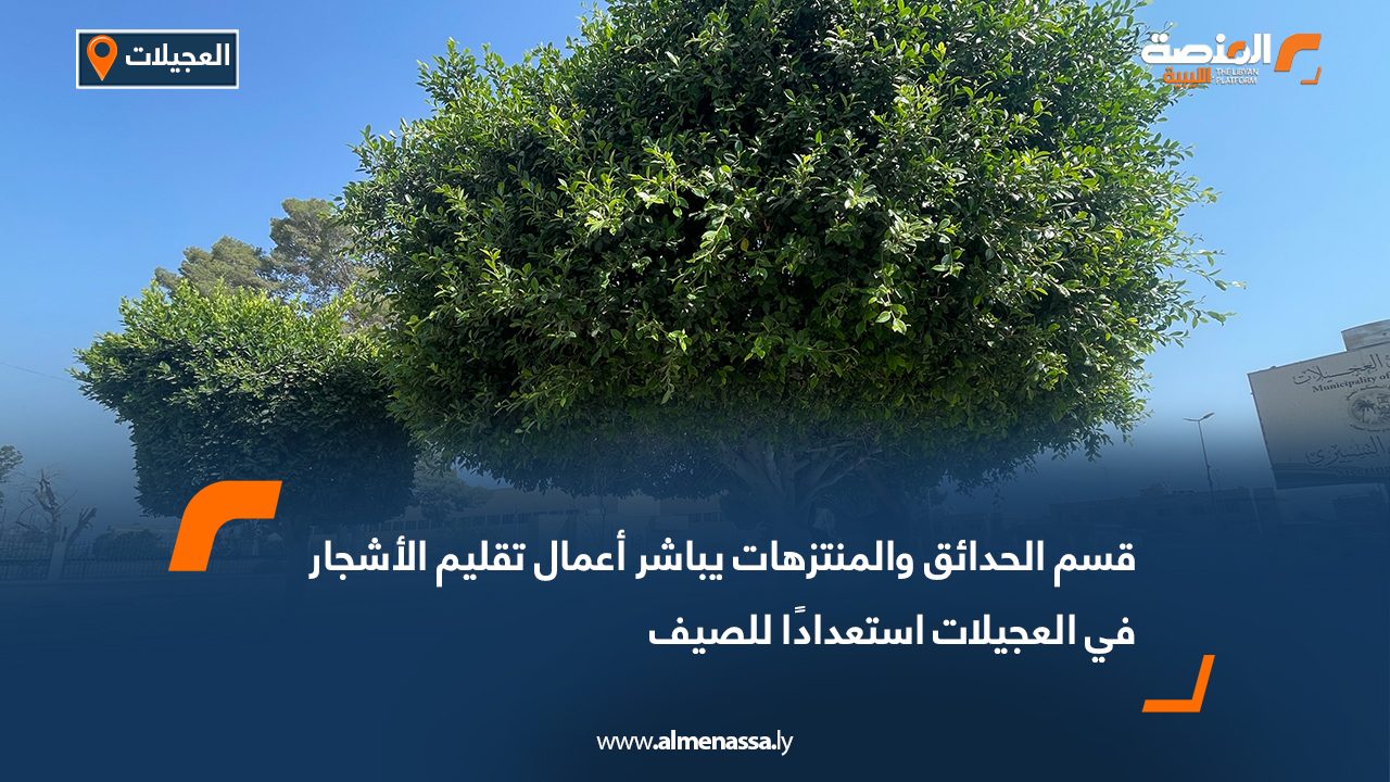 قسم الحدائق والمنتزهات يباشر أعمال تقليم الأشجار في العجيلات استعدادًا للصيف