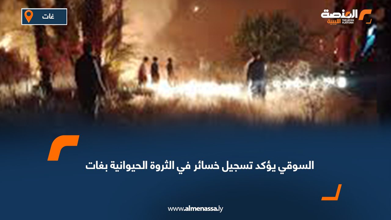السوقي يؤكد تسجيل خسائر في الثروة الحيوانية بغات
