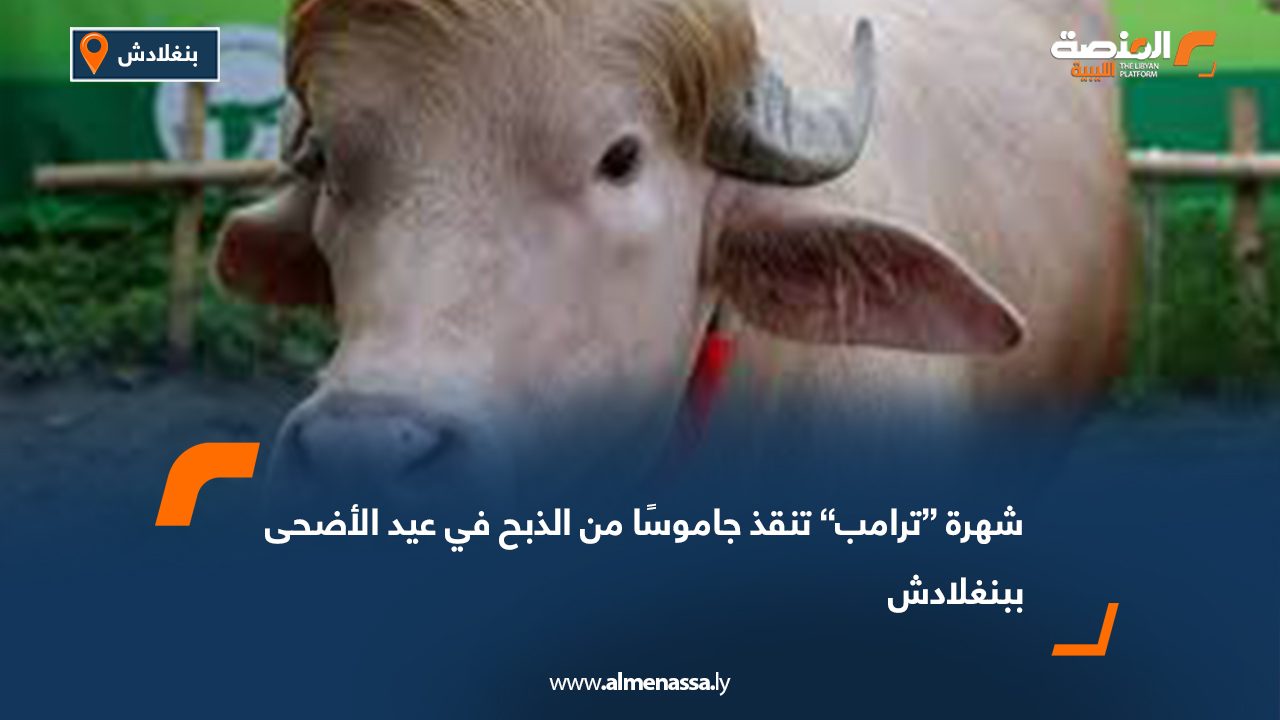 شهرة “ترامب” تنقذ جاموسًا من الذبح في عيد الأضحى ببنغلادش