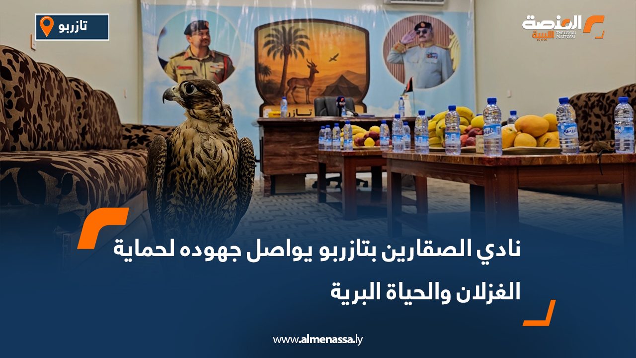 نادي الصقارين بتازربو يواصل جهوده لحماية الغزلان والحياة البرية