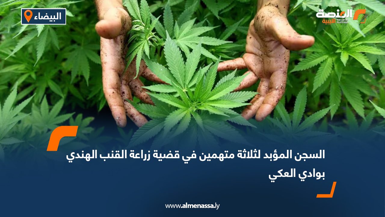 السجن المؤبد لثلاثة متهمين في قضية زراعة القنب الهندي بوادي العكي