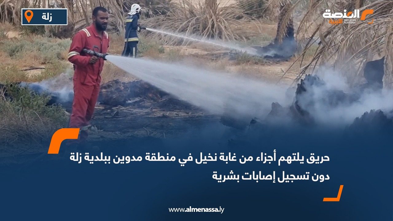 حريق يلتهم أجزاء من غابة نخيل في منطقة مدوين ببلدية زلة دون تسجيل إصابات بشرية