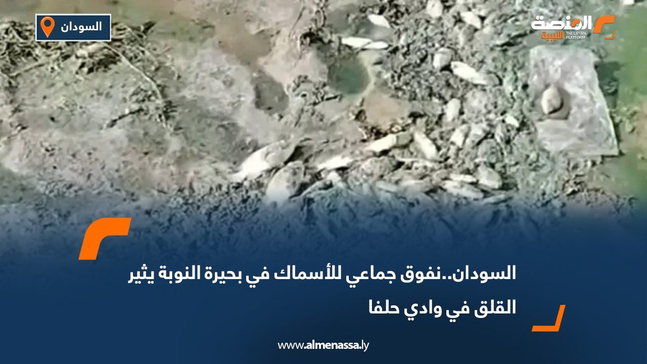 السودان..نفوق جماعي للأسماك في بحيرة النوبة يثير القلق في وادي حلفا