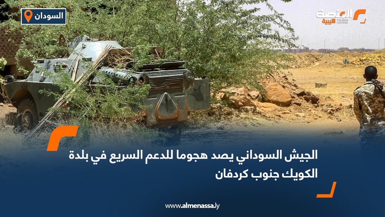 الجيش السوداني يصد هجوما للدعم السريع في بلدة الكويك جنوب كردفان