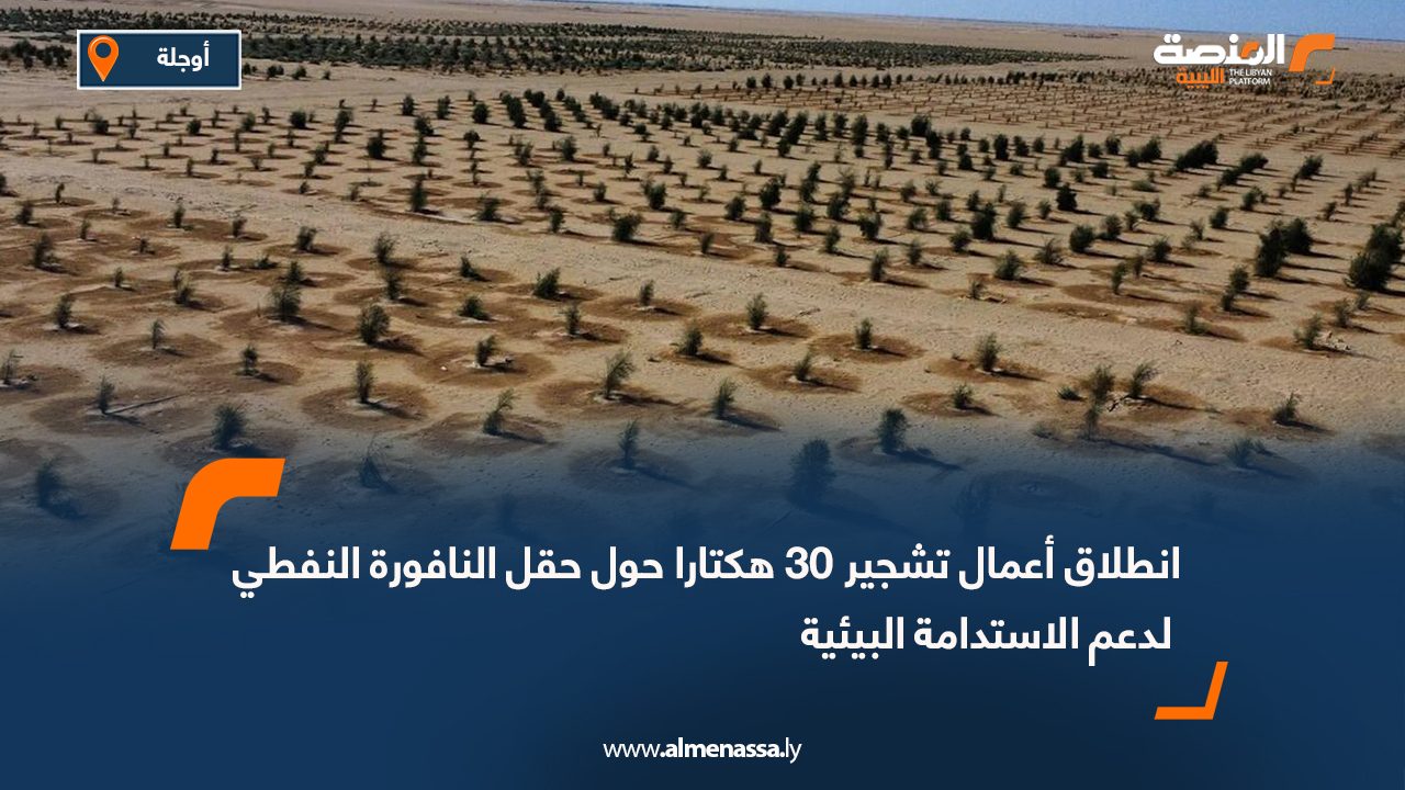 انطلاق أعمال تشجير 30 هكتارا حول حقل النافورة النفطي لدعم الاستدامة البيئية
