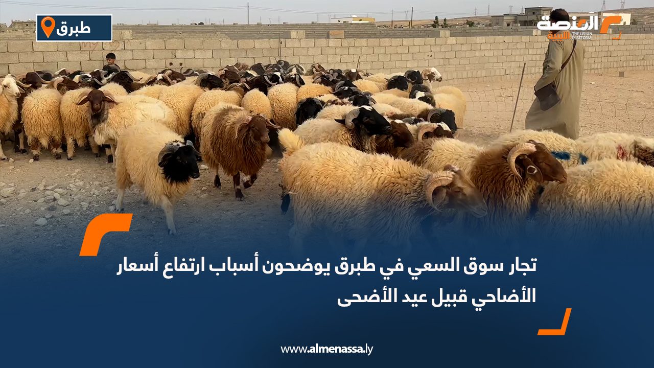 تجار سوق السعي في طبرق يوضحون أسباب ارتفاع أسعار الأضاحي قبيل عيد الأضحى