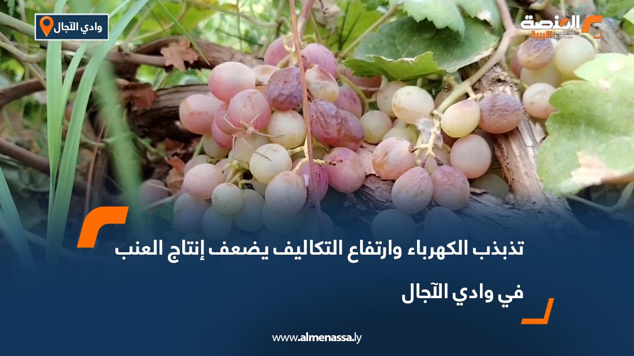 تذبذب الكهرباء وارتفاع التكاليف يضعف إنتاج العنب في وادي الآجال