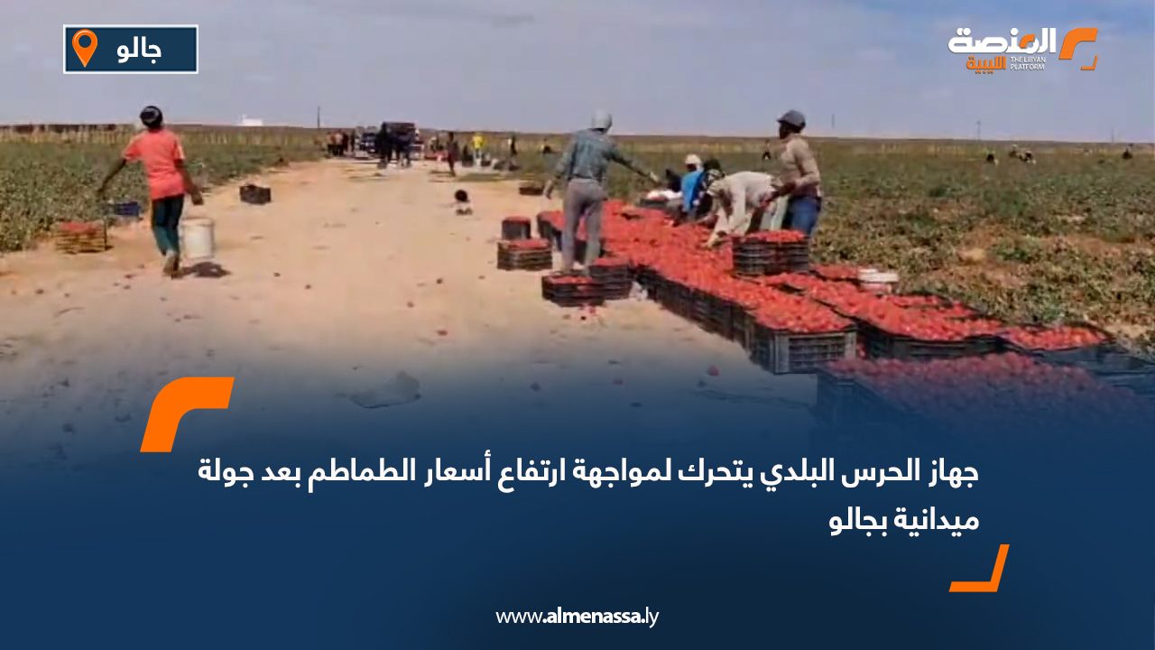 جهاز الحرس البلدي يتحرك لمواجهة ارتفاع أسعار الطماطم بعد جولة ميدانية بجالو