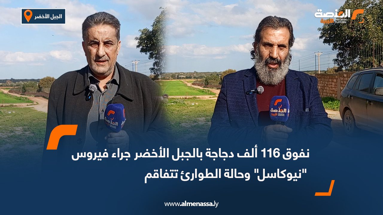 نفوق 116 ألف دجاجة بالجبل الأخضر جراء فيروس "نيوكاسل" وحالة الطوارئ تتفاقم