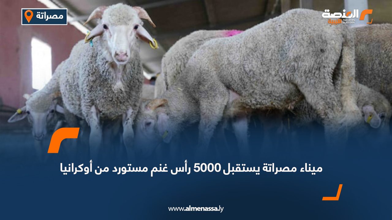 ميناء مصراتة يستقبل 5000 رأس غنم مستورد من أوكرانيا