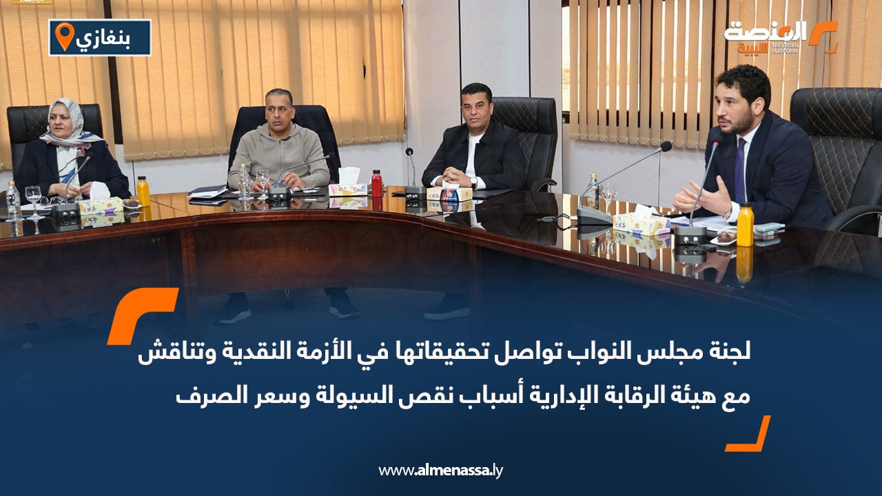 لجنة مجلس النواب تواصل تحقيقاتها في الأزمة النقدية وتناقش مع هيئة الرقابة الإدارية أسباب نقص السيولة وسعر الصرف