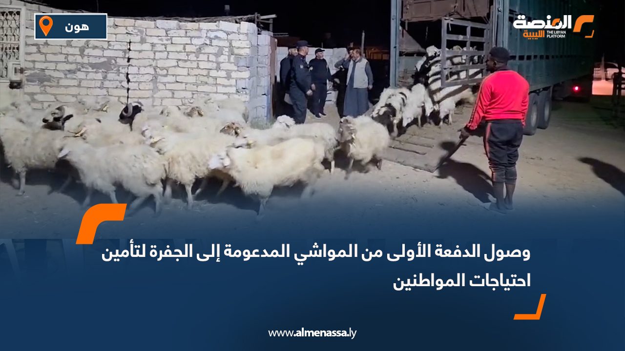 وصول الدفعة الأولى من المواشي المدعومة إلى الجفرة لتأمين احتياجات المواطنين