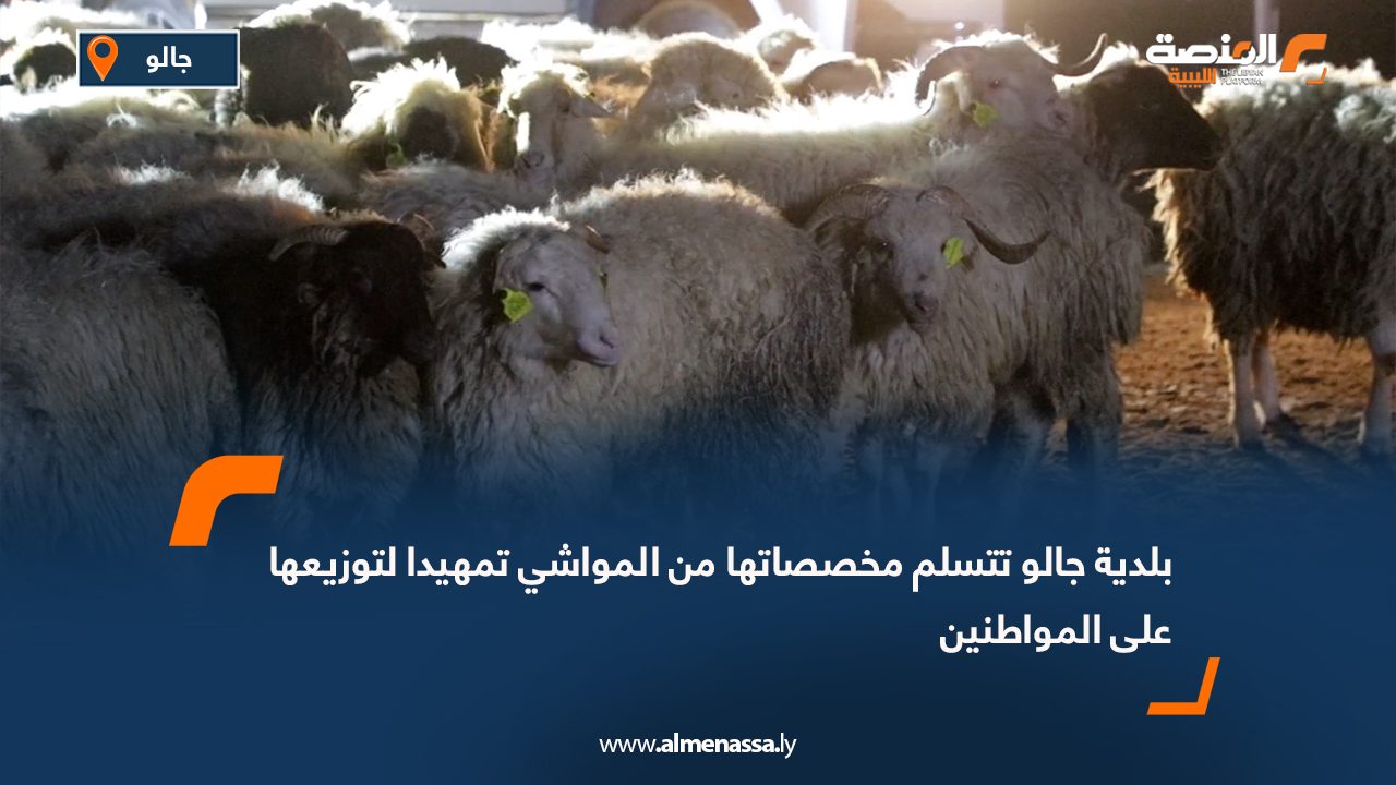 بلدية جالو تتسلم مخصصاتها من المواشي تمهيدا لتوزيعها على المواطنين