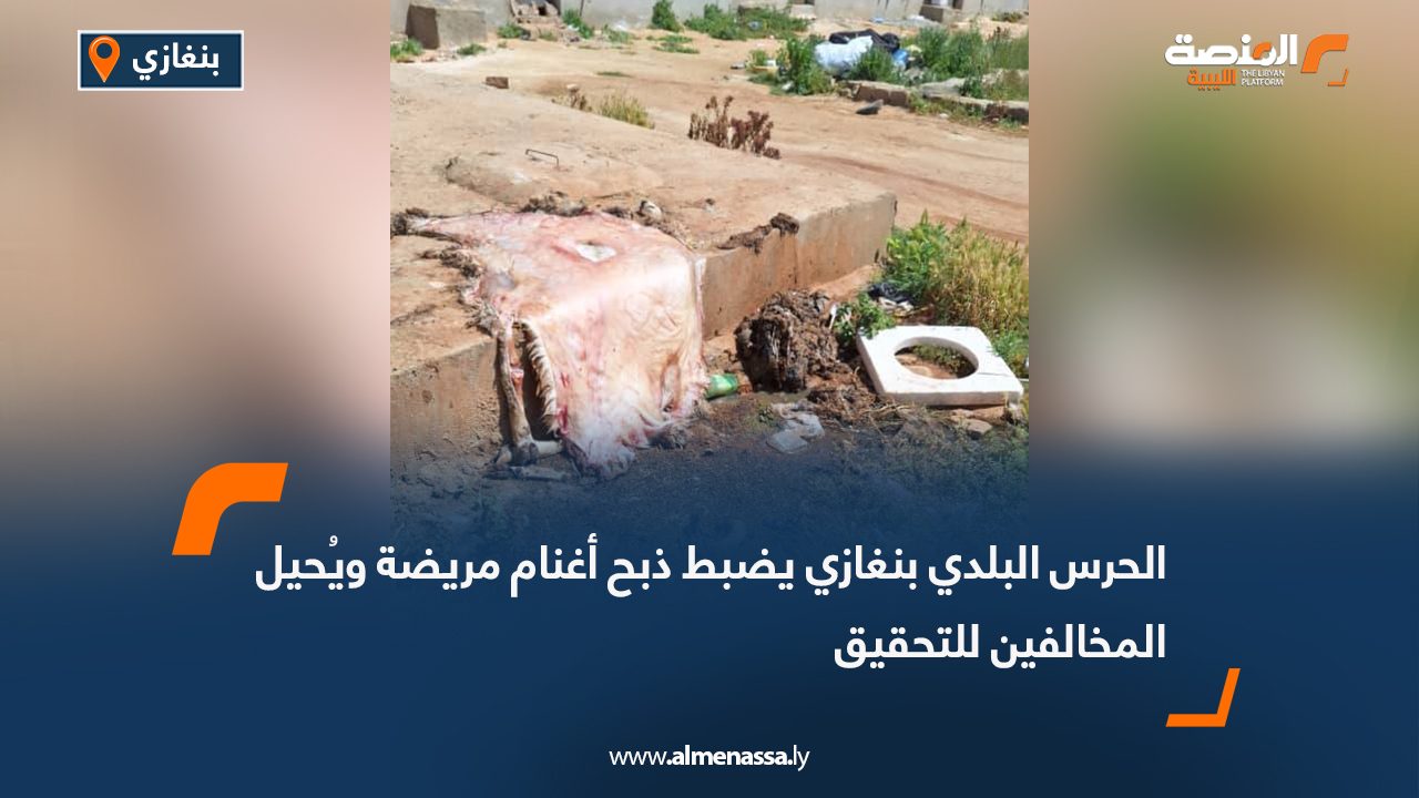 الحرس البلدي بنغازي يضبط ذبح أغنام مريضة ويُحيل المخالفين للتحقيق