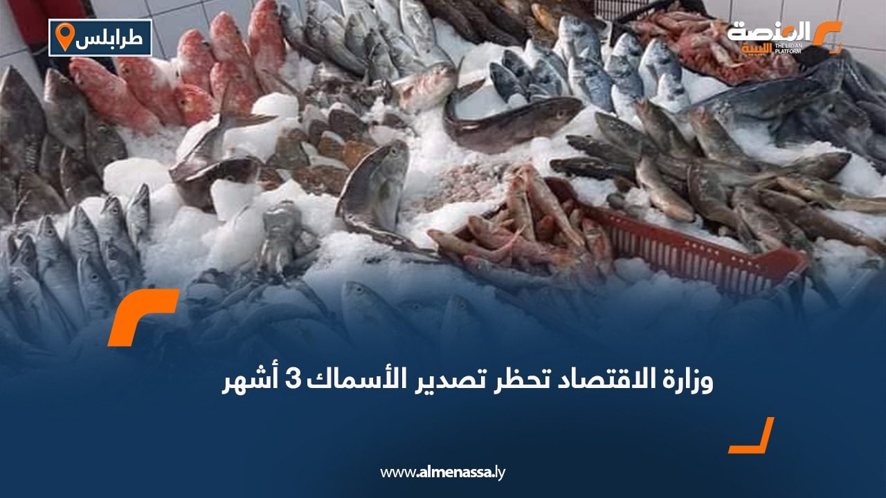 وزارة الاقتصاد تحظر تصدير الأسماك 3 أشهر