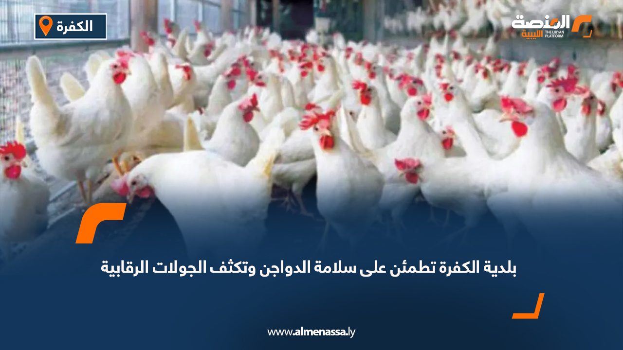 بلدية الكفرة تطمئن على سلامة الدواجن وتكثف الجولات الرقابية