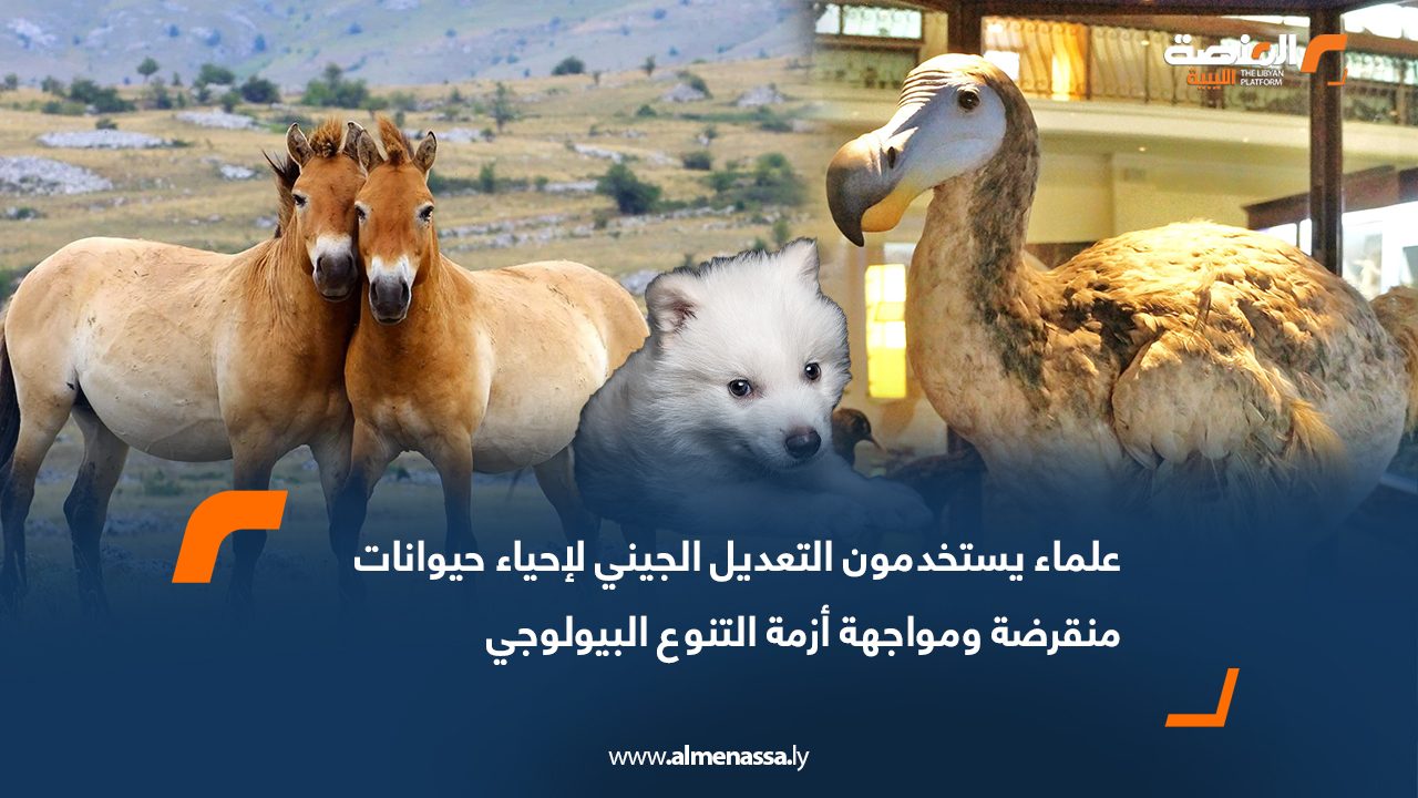 علماء يستخدمون التعديل الجيني لإحياء حيوانات منقرضة ومواجهة أزمة التنوع البيولوجي