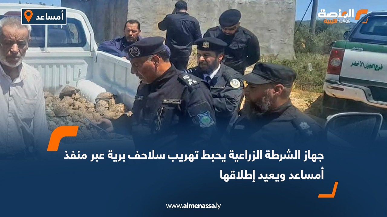 جهاز الشرطة الزراعية يحبط تهريب سلاحف برية عبر منفذ أمساعد ويعيد إطلاقها