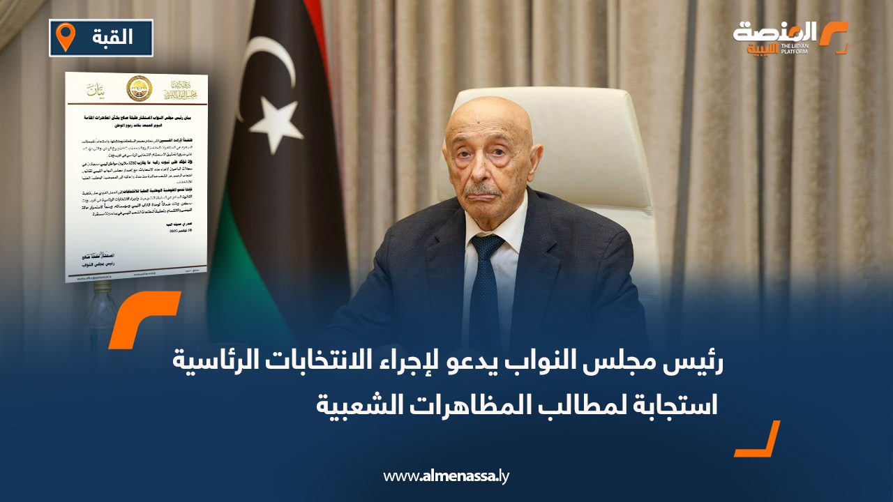 رئيس مجلس النواب يدعو لإجراء الانتخابات الرئاسية استجابة لمطالب المظاهرات الشعبية