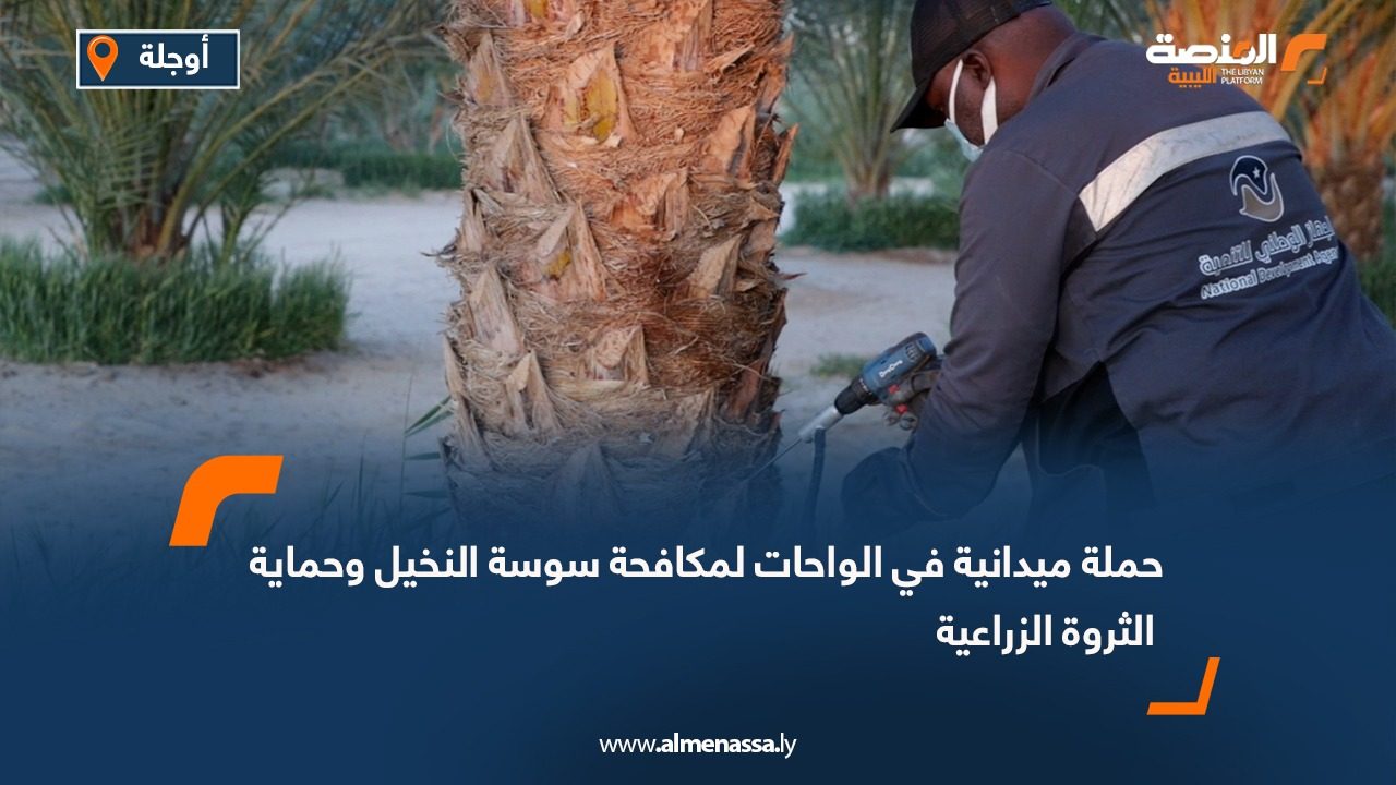 حملة ميدانية في الواحات لمكافحة سوسة النخيل وحماية الثروة الزراعية