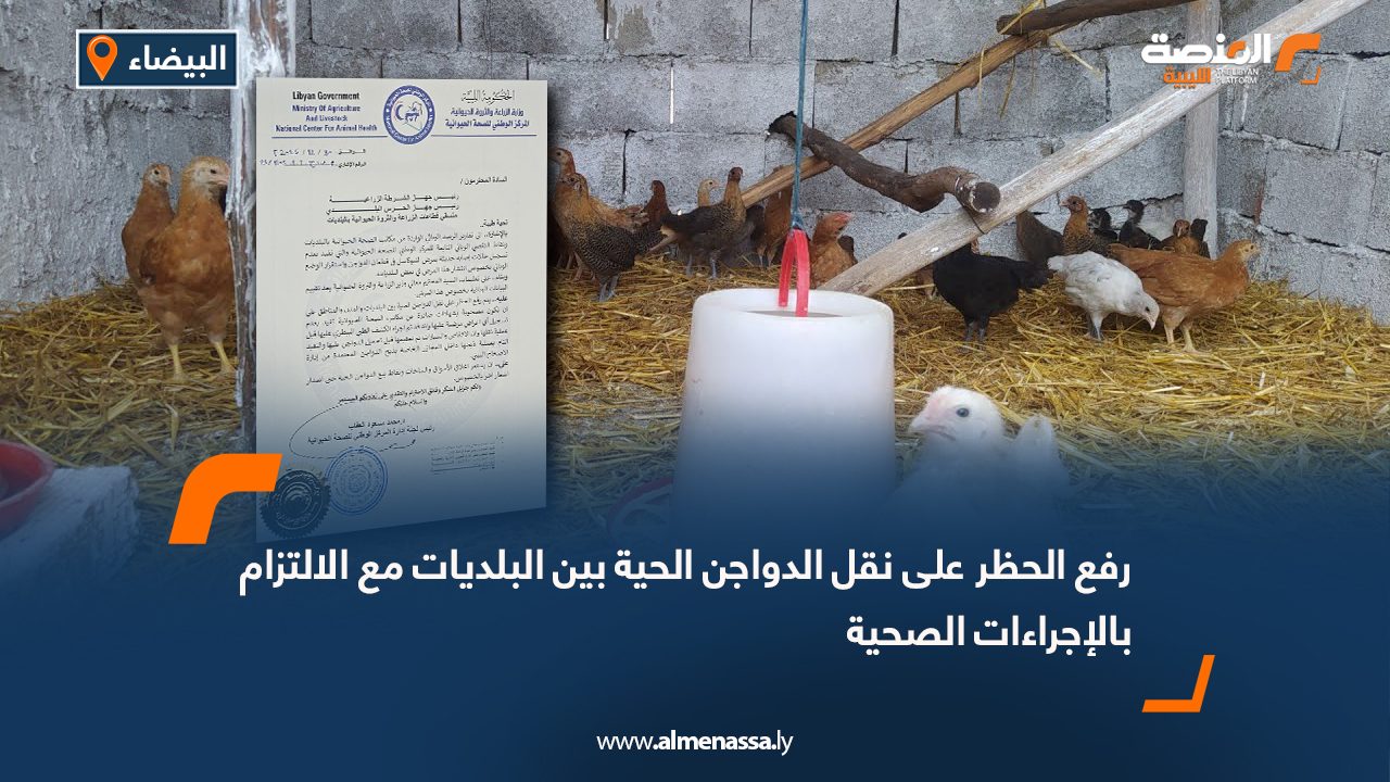 رفع الحظر على نقل الدواجن الحية بين البلديات مع الالتزام بالإجراءات الصحية