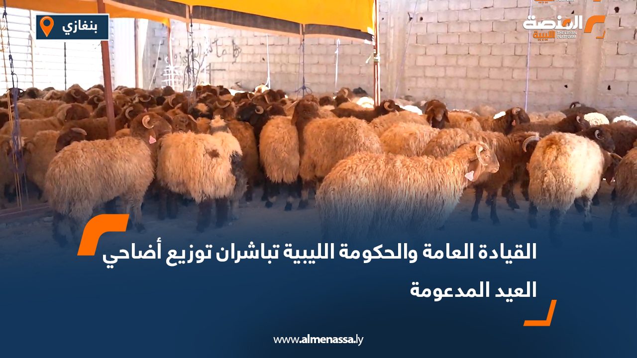 القيادة العامة والحكومة الليبية تباشران توزيع أضاحي العيد المدعومة