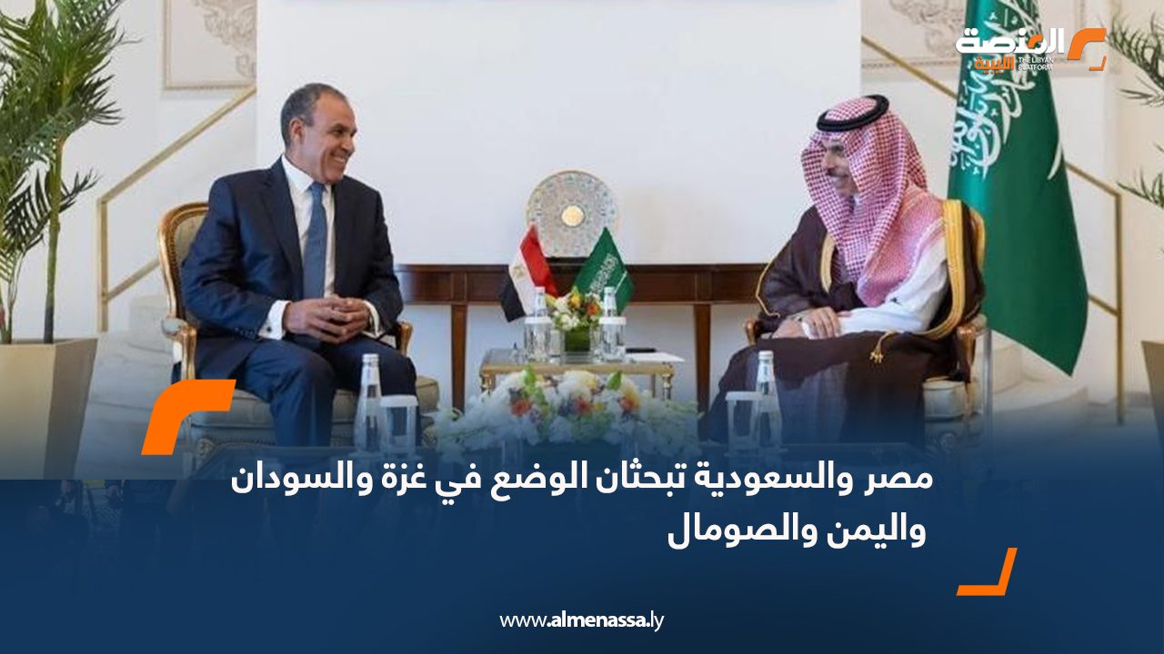 مصر والسعودية تبحثان الوضع في غزة والسودان واليمن والصومال