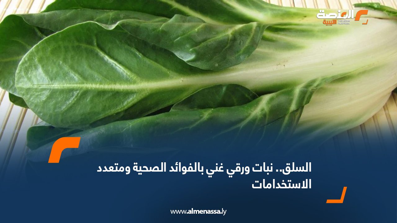 السلق.. نبات ورقي غني بالفوائد الصحية ومتعدد الاستخدامات
