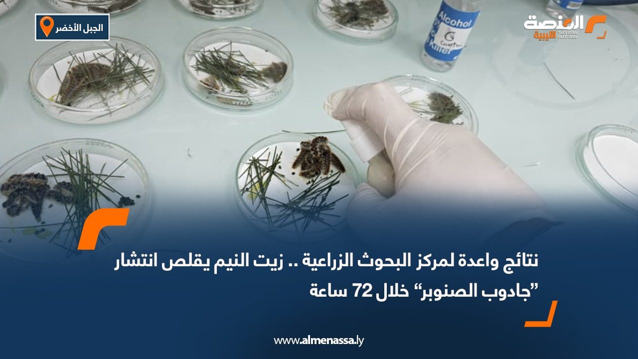 نتائج واعدة لمركز البحوث الزراعية .. زيت النيم يقلص انتشار “جادوب الصنوبر” خلال 72 ساعة