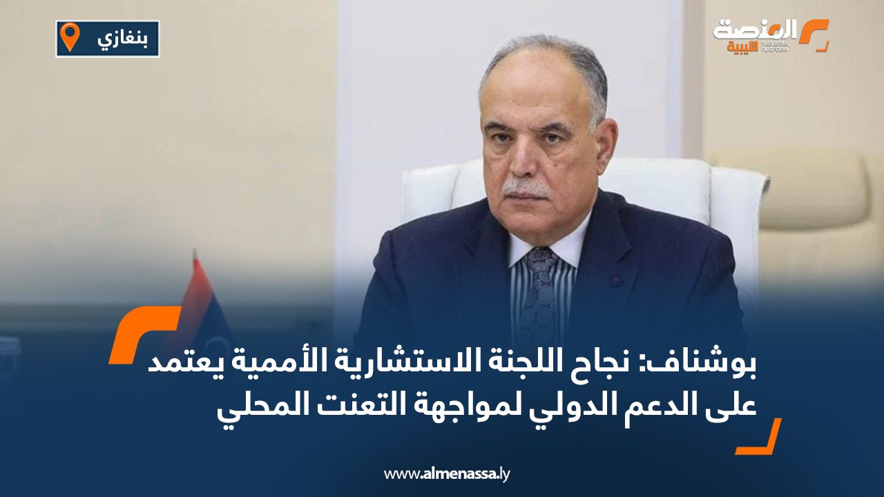 بوشناف: نجاح اللجنة الاستشارية الأممية يعتمد على الدعم الدولي لمواجهة التعنت المحلي