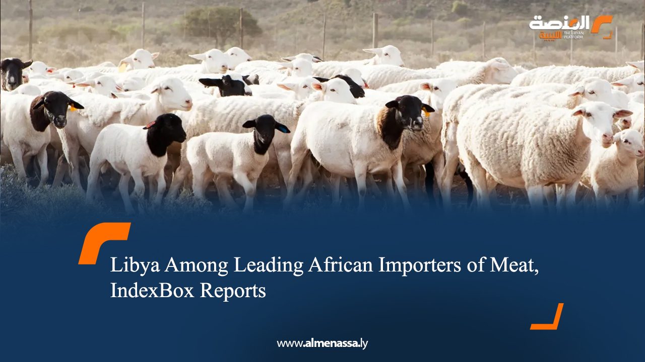 Libya Among Leading African Importers of Meat, IndexBox Reports