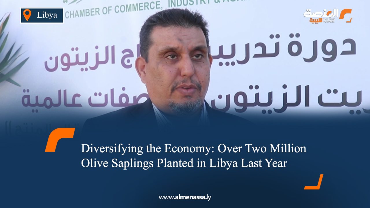 Diversifying the Economy: Over Two Million Olive Saplings Planted in Libya Last Year